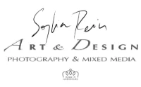 ART & DESIGN | SOPHIA REIN